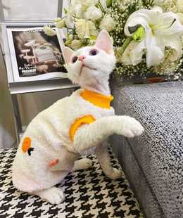 2024 New Fashion Devins Fenx Pet Cat Winter Warm Clothes Lining Baby Velvet Wholesale