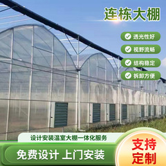 連棟の連体の大きい棚のアーチ棚の恒温の薄膜の大きい棚の植物は大きい棚の農業の日よけの温室の骨格を植えます。