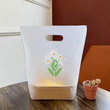 海南PLA可降解外卖打包袋便当包装袋轻食沙拉手提塑料袋袋子
