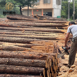 ���Sֱ�lɼľ��ľˮ��������ľ���G���U��Ѵԭľ�Aľɼľԭľ