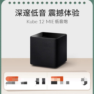 KEF Kube 12 MIE subwoofer 12 inch high power subwoofer active speaker subwoofer