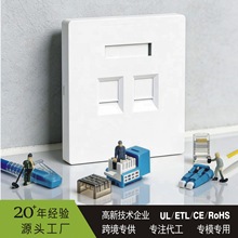 ���S���� 86 �;W�j��� RJ45 �ο��p�ھW���������
