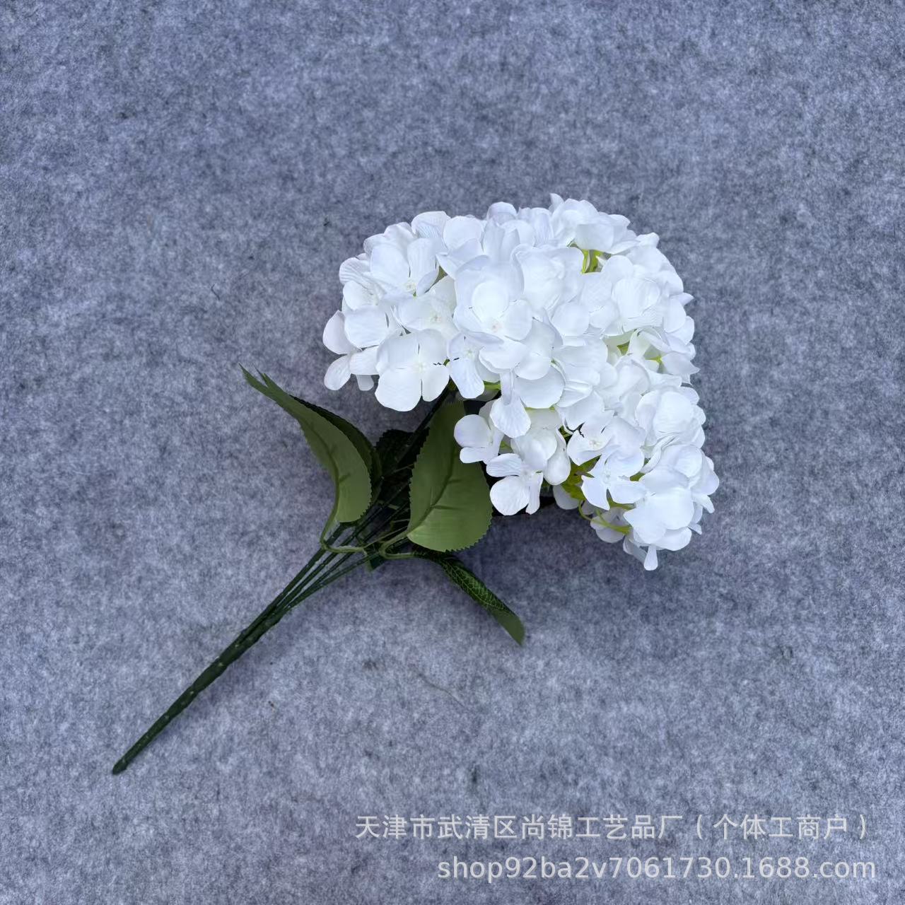 하얀색