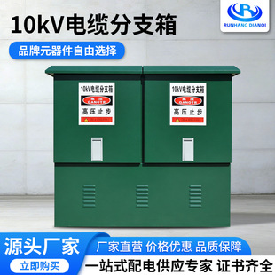���S����߉���|��֧�� DFW-12��|��֧�� 10KV��|��֧�䌦����