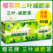 三叶减肥茶 樱花决明子山楂茶西洋参润肠 排 通便五行茶 一件代发