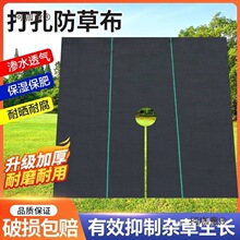 �¿���ݲ����@������ݲ��r���w���ֲ�͸��͸ˮ����ز���̫��