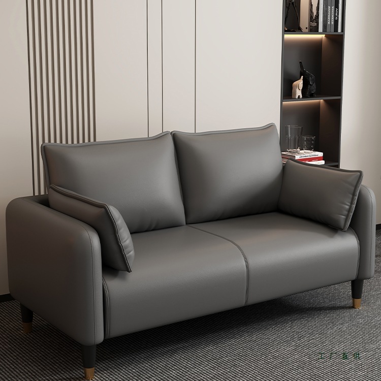 2025新款客厅沙发小户型出租房酒店公寓双人三人布艺小沙发服装店