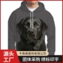 套头数码连帽男士卫衣