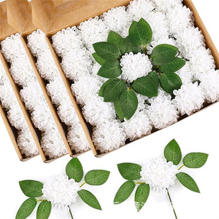 ���潑��PE���U�廨��c��Y��ӬF�����Ä����ֹ���ˇ����