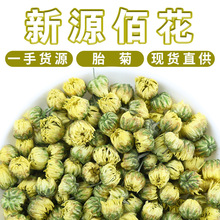 桐乡胎菊花批发散装500g杭白菊干菊花茶农产品胎菊米茶瓶装胎菊王