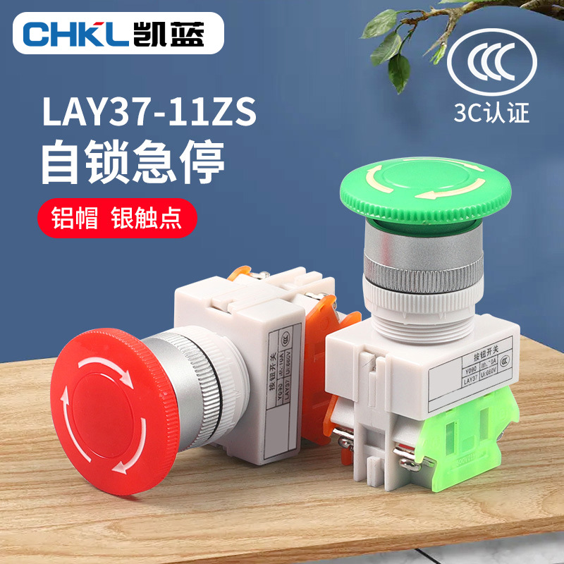 供应 Y090 LAY37-11ZS 蘑菇头带自锁急停 Ф22MM急停按钮开关