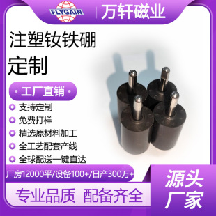 Injection Molded Ndfeb Magnets Strong Magnetic Rotor Motor Magnet Accessories Rotor High Speed Ndfeb Injection Molded Magnets