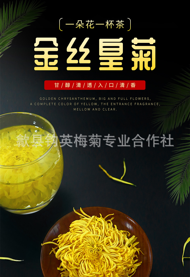金丝皇菊-大详情页_01.jpg