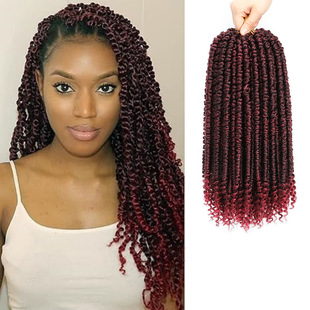 TEMU�羳���Q���u�W���hᘰl���wPassion Twist �ɹ�С���ɷ���