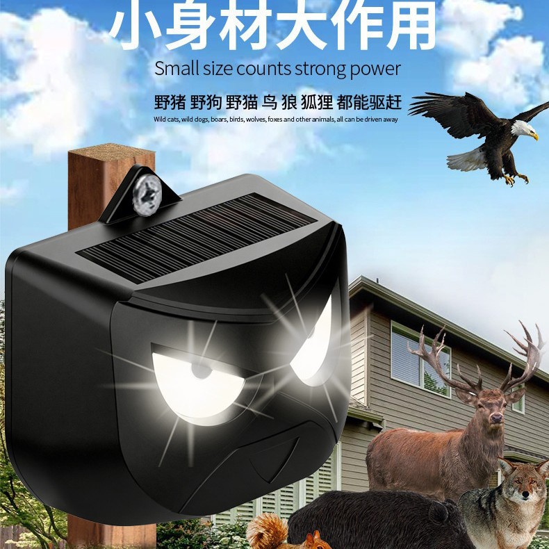 Chorreador solar para exteriores Chorreador de animales Chorreador ultrasónico de dos estaciones