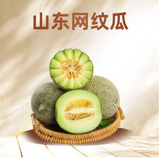 ���̳���ϡ����ھW�y�۹ϱ����������rժ����ˮ������������