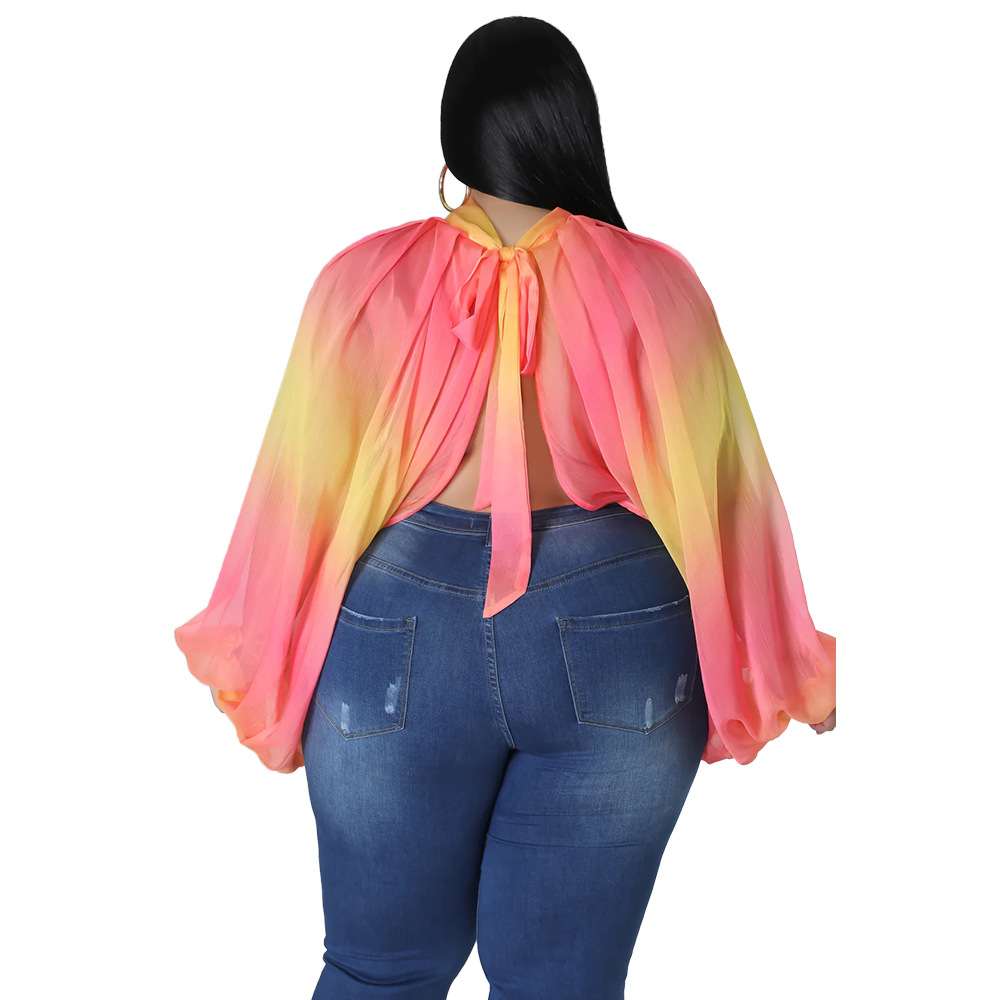 252g Weight Long Sleeve Sleeve Length Regular Sleeve Sleeve Type Spandex, Polyester, Chiffon Fabric Type Long Top Length Blouse Tops Type Daily, Street Occasion Round Neck Neckline Regular Fit Fit Type Color Block Pattern Spring&Summer Season Streetwear Style Blouse Long Sleeve Plus Size Tops Streetwear Color Block 56