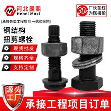 钢结构高强度扭剪型高强螺栓预紧力强实体工厂质量保障GB/T 3632