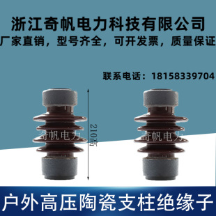 10Kv Insulator Zsw-10/4 Ceramic Support Porcelain Bottle 215 High Zsw-10/5 High Voltage Insulator