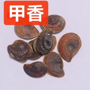 ��ș�� �����݅��ϸ���㺣���w�Ǻ������㌣�� ˮ�ĸ ���� ����