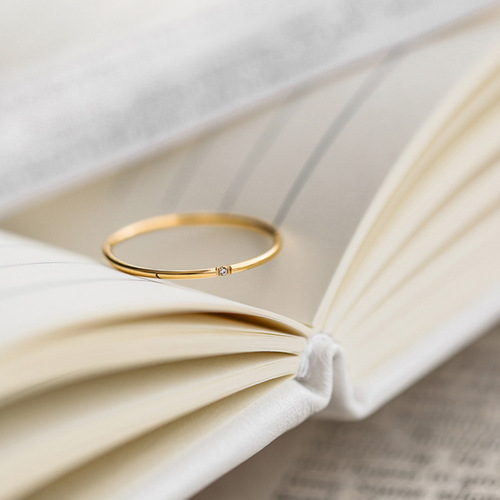 Japanese and Korean ultra-fine zircon titanium steel ring women's niche light luxury ins simple design plain ring tail ring ring does not fade