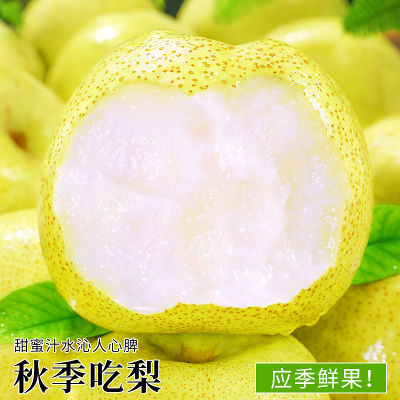 ホットセール安徽唐山クリスピーペア 5kg ペアフレッシュフルーツ季節のフルボックス送料無料特製香りのクリスピーペア|undefined
