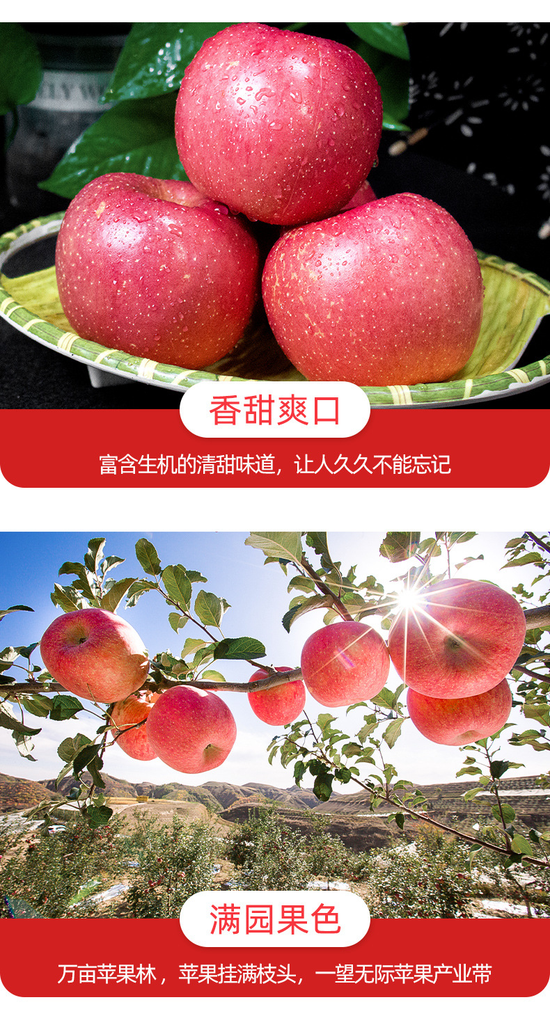 米脂山地苹果详情_09.jpg