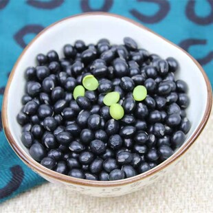 ������؛�G�ĺڶ��ɰlѿ�򶹝{�r���Ԯa����s�Zԭ�ϬF؛һ�����l