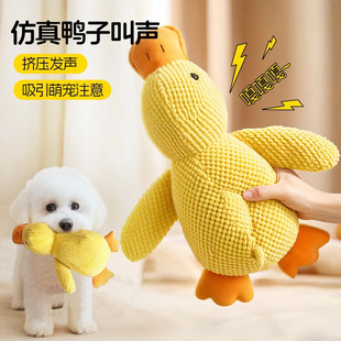 �������ë�q�S���l���˽␞С�д�����Ȯĥ����ҧ������Ʒ