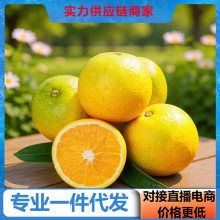 【活动款】正宗纽荷尔脐橙现摘平替赣南脐橙对接电商直播源头直发