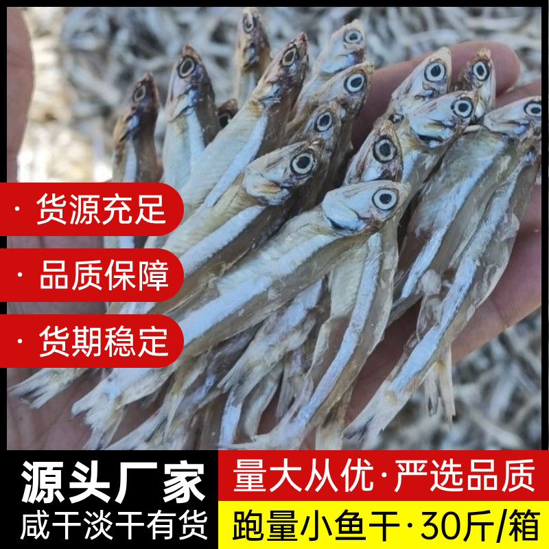 【源头工厂】公干鱼白凡鱼干小鱼干宠物鱼干零食小鱼小虾批发零售