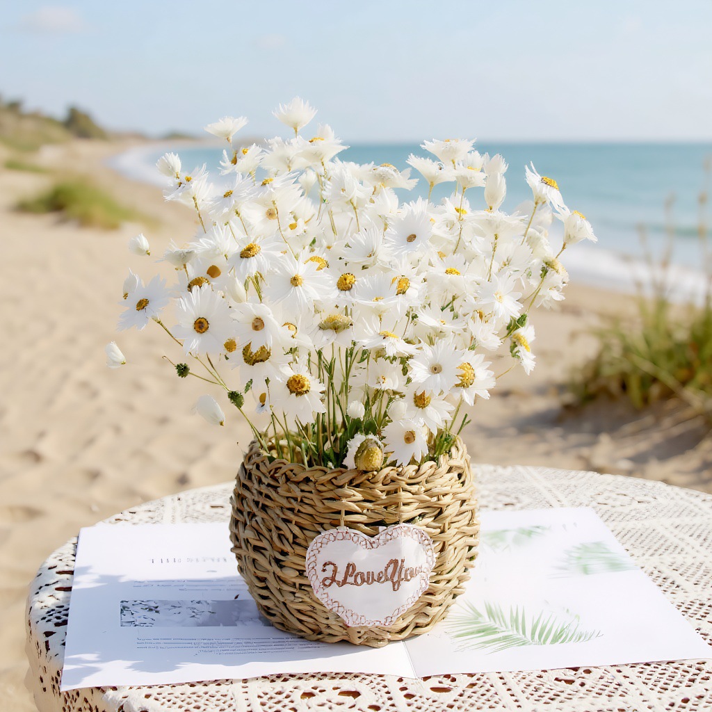 鲁丹鸟罗丹干花鲜花永生花ins家居装饰田园小清新压花花束跨境