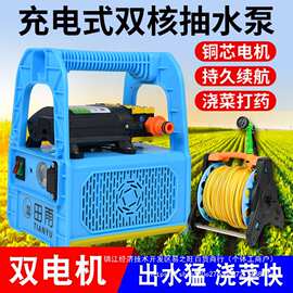 浇菜神器浇水机充电式锂电抽水泵农村户外农用菜地淋地灌溉抽水机