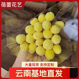 干花;永生花;仿真花