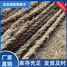 �ݰ��ӏS�� �Vɽ�ޏ͇����G����ֹ���{�»��l�βݰ�A�βݰ���