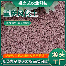 �S��ֱ�N�L��ʯ�w���L������������Ǥ�����������I�B��������