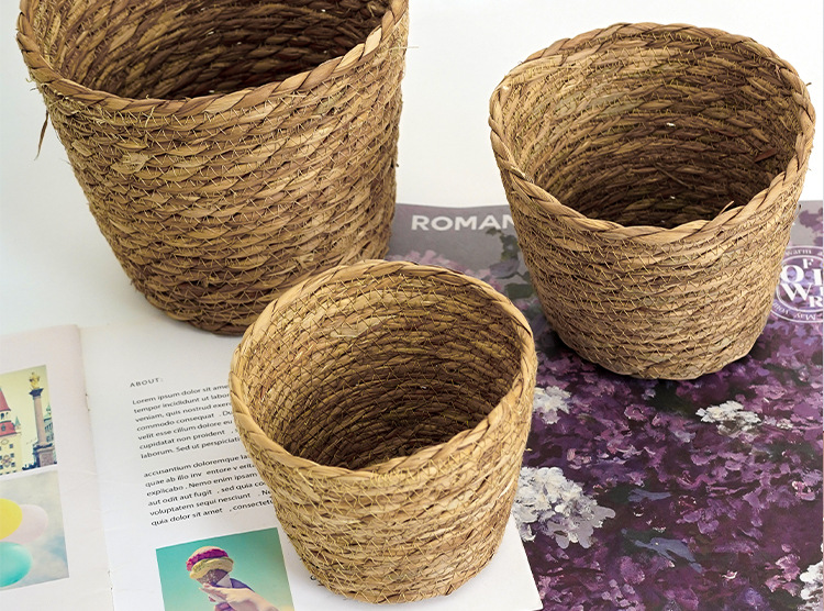 O1CN01AoZsan1d0HcGpvVYs_!!3238