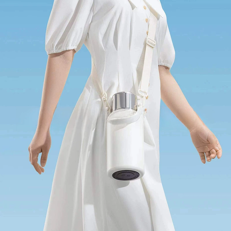Capacious glass stainless steel, handheld teapot