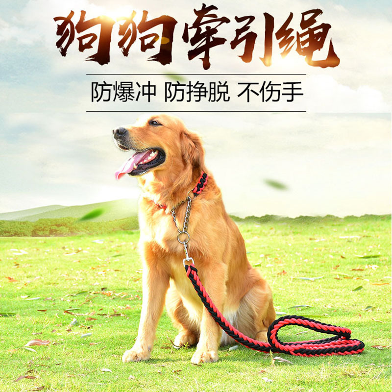 狗狗牵引绳P绳宠物狗P链项圈狗链子小中大型犬八股绳手工编织狗绳|undefined