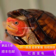 �t�浰���M����������~�׌����^�p���w��ˮ���t�������lɫ�Z