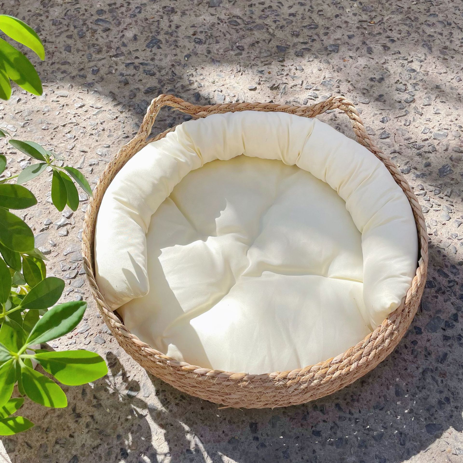 고양이 귀 둥지 + 흰색 쿠션 + 베개