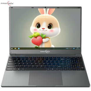 I5 Core Office Netbook 15.6-Inch Laptop Student Learning