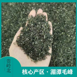 贵州云雾绿茶袋装湄潭核心产区茶园直销绿茶叶有机春茶雨前茶清香