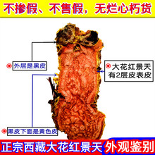 �t����ș�������خa���x��؛��Ƥ�󻨉K255g��Ƭ���߷��ݲ���ˮ��