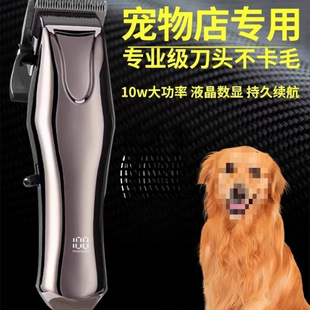 ���I���ﹷ����ë����Ƽ���������ӹ�ë�������Ȯ��Ƽ�