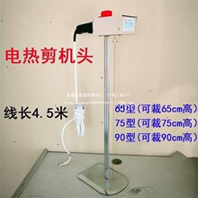 w޲üC 늟z {طwͲޙC PP޲ֱN