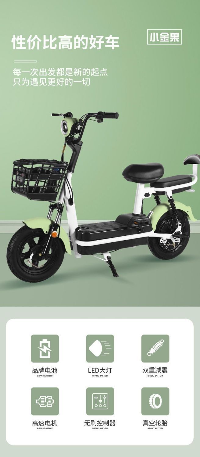 2025 New National Standard Electric Bicycle for Adults
