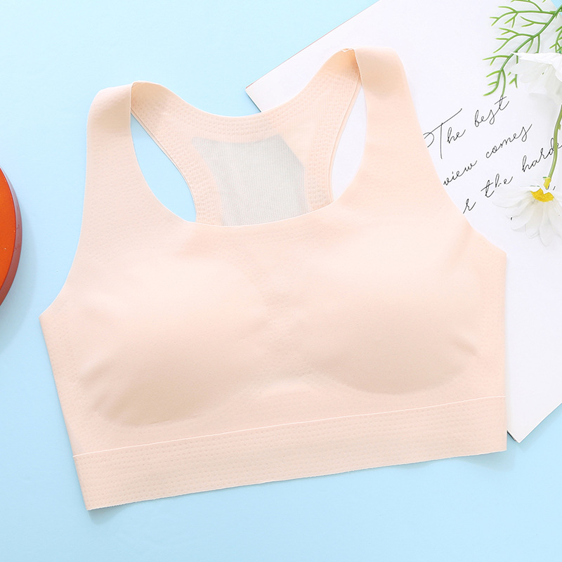 콩 페이스트 분말