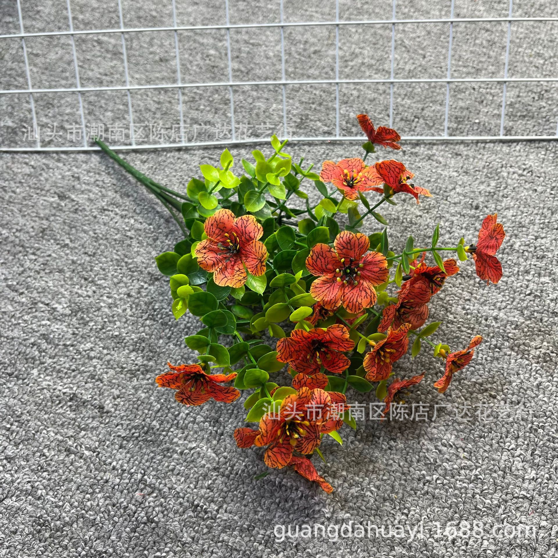 7 cabezas violeta eucalipto rojo atardecer