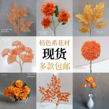 ��ɫ����c��ˇ��ɫ������Y���b���·�����Ź��T�������r��